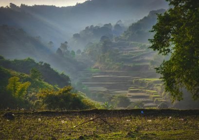 moses-eQhFAilXCJ4-unsplash